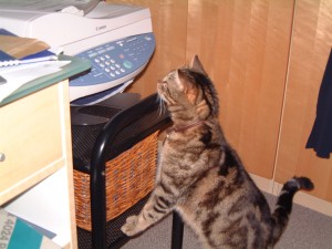 astro_printer.jpg Grouille ! La maîtresse est charette !